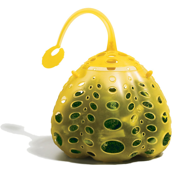 FoodPod Cooking Vessel on Wantist