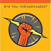 Linchpin: Are You Indispensable? 1