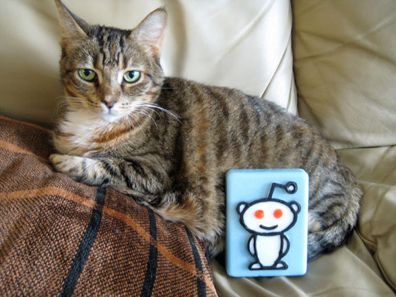 Reddit_alien_soap_blue_with_cat-sixhundred