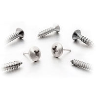 PHILLIPS HEAD SCREW EARRINGS 1