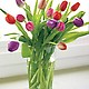 12 Months of Organic Bouquets 2