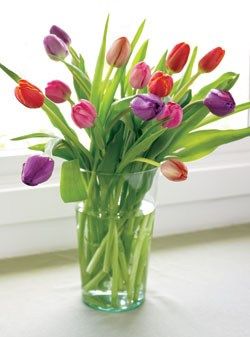 12_months_of_organic_bouquets_2-sixhundred