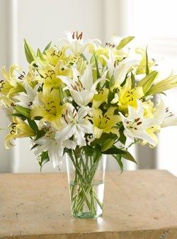 12_months_of_organic_bouquets_3-sixhundred