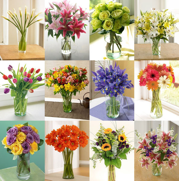 12 Months of Organic Bouquets 5