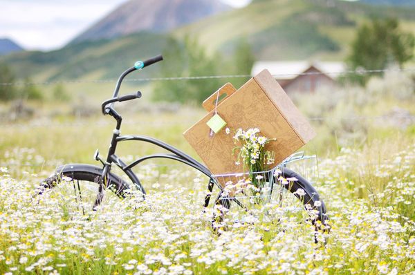 Boxsal_picnic_box_15-sixhundred