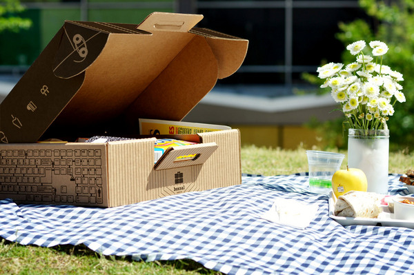 Boxsal_picnic_box_office_escape_on_blue_gingham_with_flowers-sixhundred