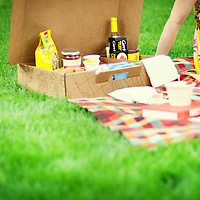 Boxsal Picnic Box Todays Date detail on grass with food