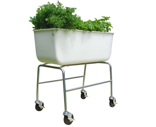 Tall FoodMap Container side view