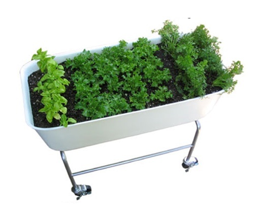 Tall_foodmap_container_top_view-sixhundred