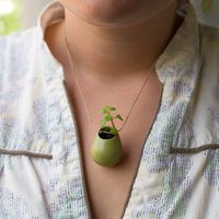 A Wearable Planter 1