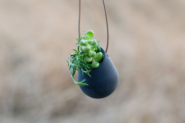 A_wearable_planter_by_colleen_jordan_9-sixhundred