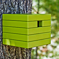 Green Loll Cube Birdhouse on tree