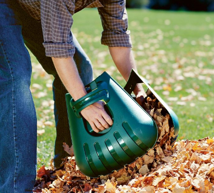 Leaf Scoops 2