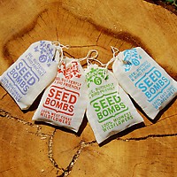 Seed Bombs by VisuaLingual 4