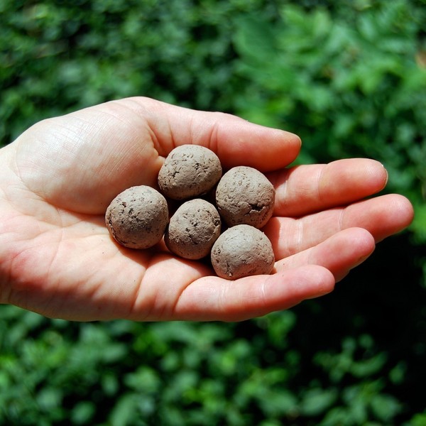 Seed_bombs_by_visualingual_5-sixhundred