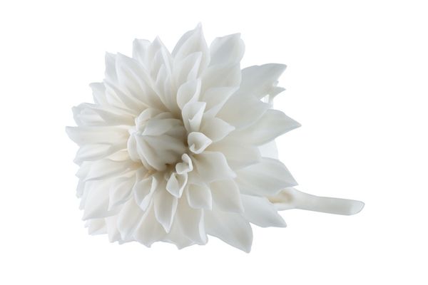 Porcelain Dahlia by Studio Klimenkoff 1