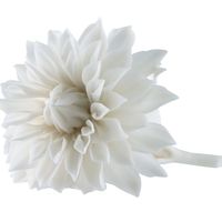 Porcelain Dahlia by Studio Klimenkoff 1