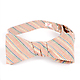 Forage Bow Ties 6