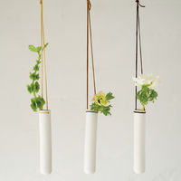 Hanging Test Tube Vase 1