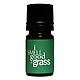 I Smell Good Perfume Oil 10