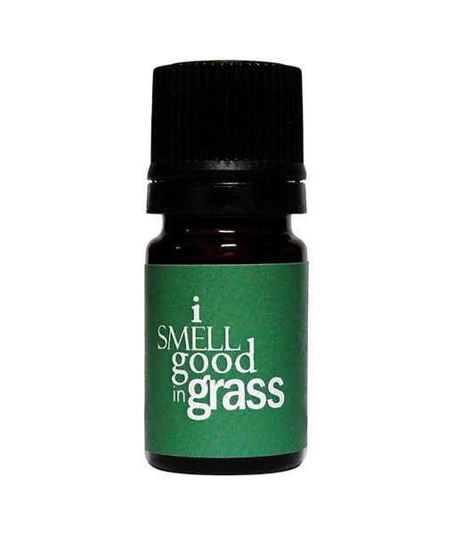 I Smell Good Perfume Oil 10