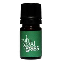 I Smell Good Perfume Oil 10