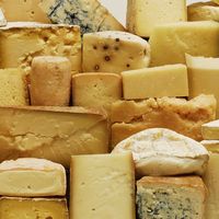 Murray's Cheese of the Month Club 1