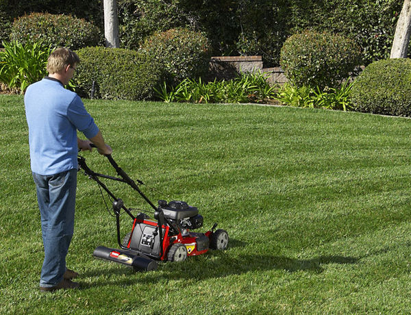 Lawn Striping System 2