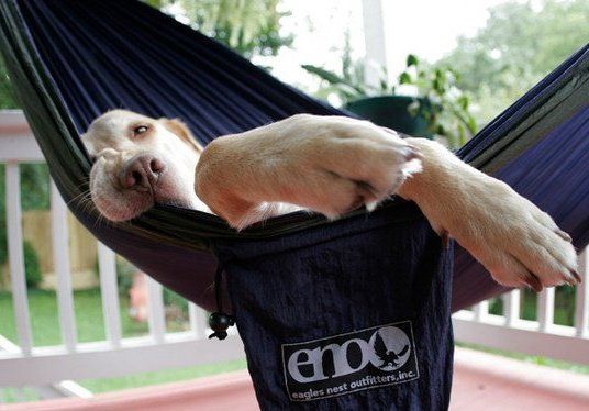Eno_doublenest_hammock_9-sixhundred