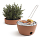 Hot-Pot BBQ 6