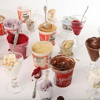 Jeni's Splendid Ice Creams - Set of 9 8