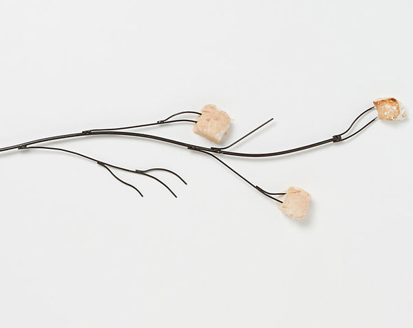 Marshmallow_twig_roaster_3-sixhundred