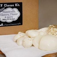 Deluxe DIY Cheese Kit by UrbanCheesecraft 1
