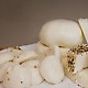 Deluxe DIY Cheese Kit by UrbanCheesecraft 4