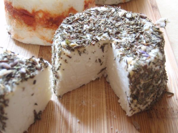 Deluxe_diy_cheese_kit_by_urbancheesecraft_5-sixhundred