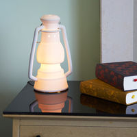 Talk of the Trails Lamp 2