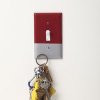 Magnetic Switch Cover 1