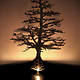 Lumen Oil Candle Shadow Projectors 2