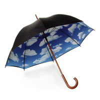 Sky Umbrella 1