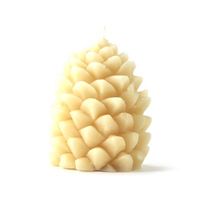 Pine Cone Candle 1