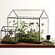 Glass Greenhouse 1