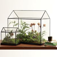 Glass Greenhouse 1