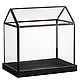 Glass Greenhouse 2