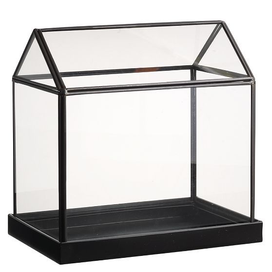 Glass_greenhouse_2-sixhundred