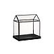 Glass Greenhouse 3