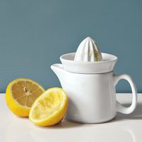 Mini Hand Juicer 1