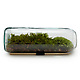 Moss Terrarium Bottle 1