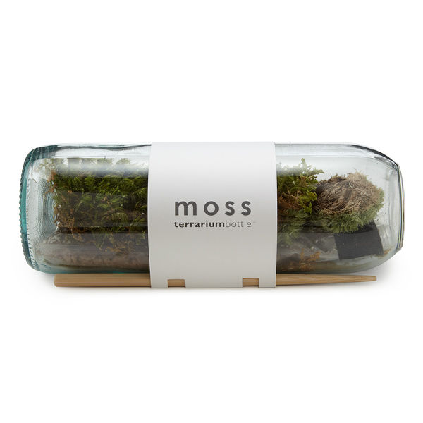 Moss_terrarium_bottle_2-sixhundred