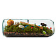 Moss Terrarium Bottle 3