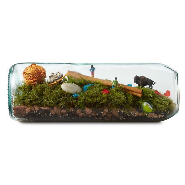 Moss_terrarium_bottle_3-sixhundred